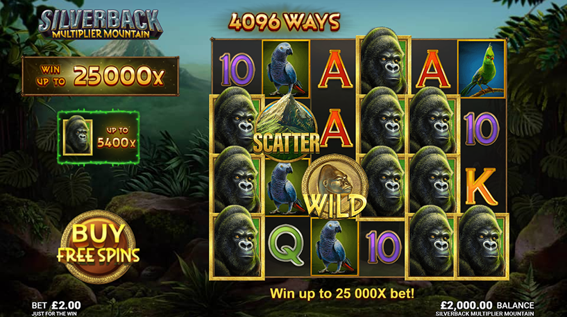 Silverback Multiplier Mountain Game Slot Online Bibir69